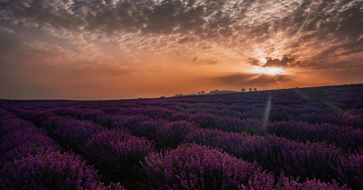 Escapadas rurales en Murcia